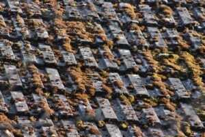 Hoe lang dakpannen mee gaan