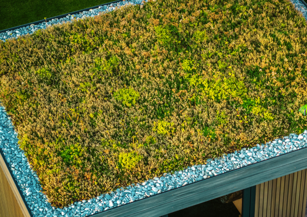 groen dak van sedumplanten met rondom stenen, van bovenaf aanzicht.